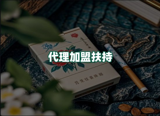 核心优势
